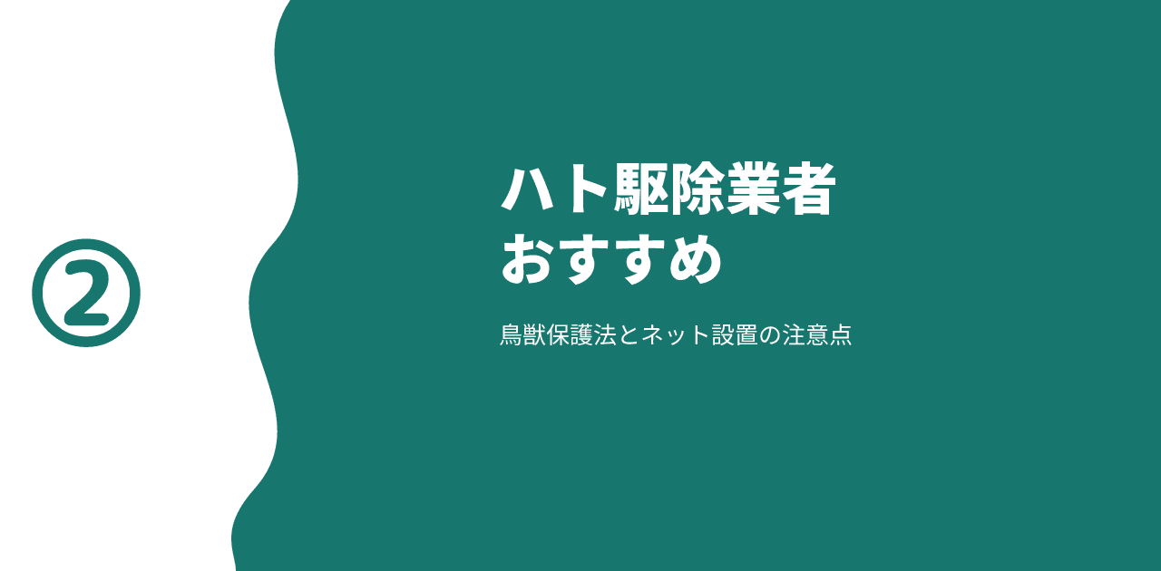 ハト駆除業者おすすめ｜鳥獣保護法とネット設置の注意点【2026年】