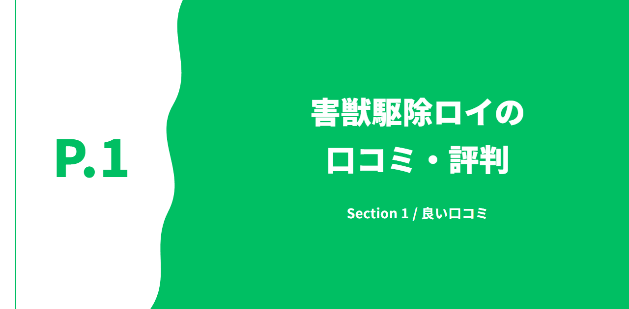 記事の区切り画像(P.1・Section 1 / 良い口コミ)