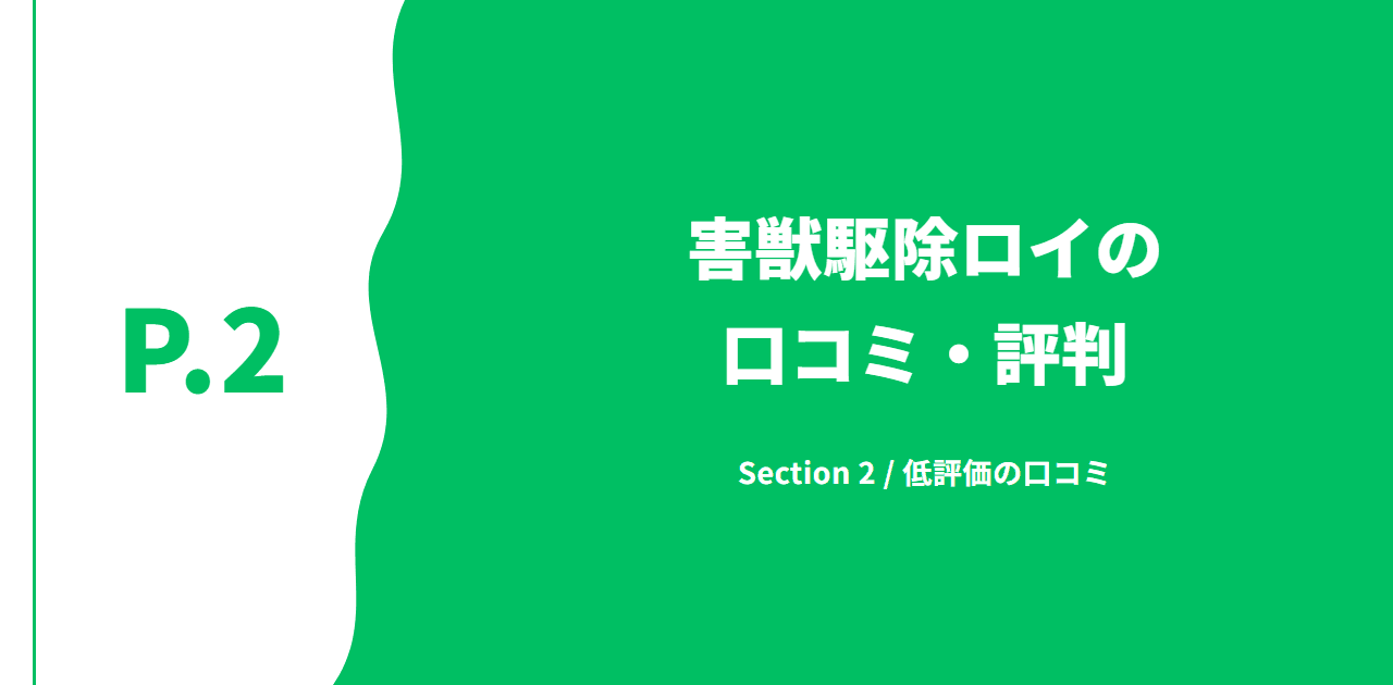 記事の区切り画像(P.2・Section 2 / 低評価の口コミ)