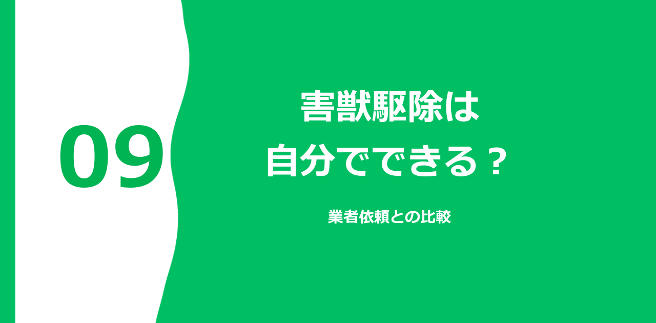 害獣駆除は自分でできる？業者依頼との比較【2026年】