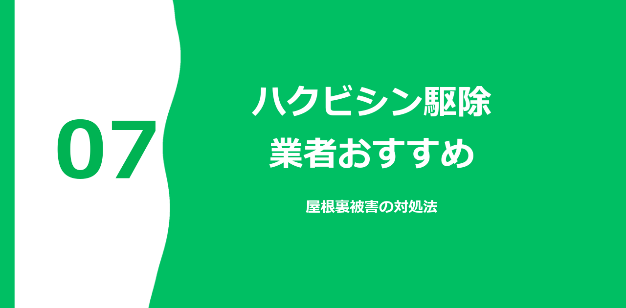 ハクビシン駆除業者おすすめ｜屋根裏被害の対処法【2026年】