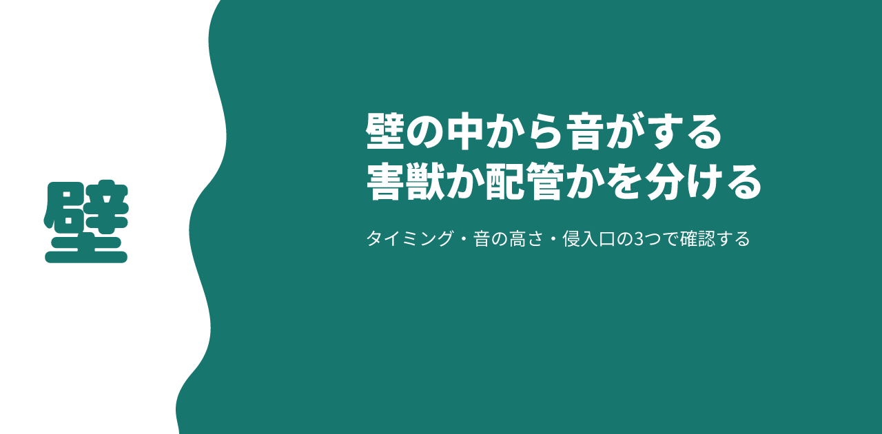 壁の中から音がする｜害獣か配管かを切り分ける3つの確認