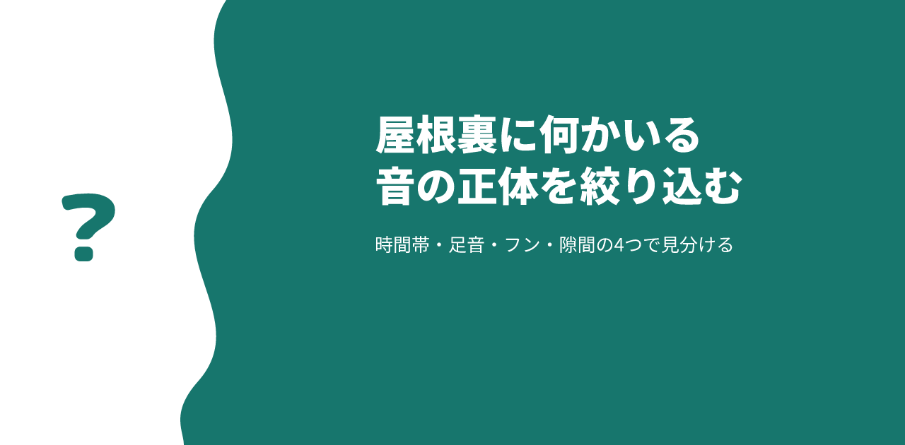 屋根裏に何かいる｜音の正体を時間帯とフンで見分ける